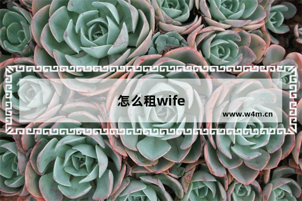 怎么租wife