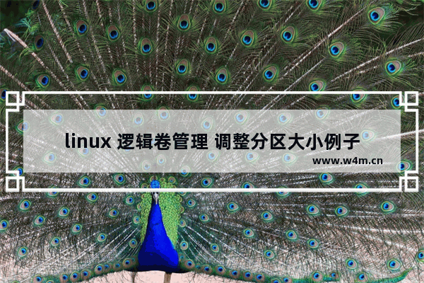 linux 逻辑卷管理 调整分区大小例子