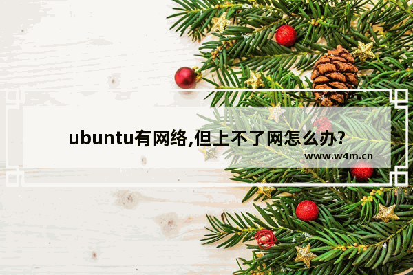 ubuntu有网络,但上不了网怎么办?