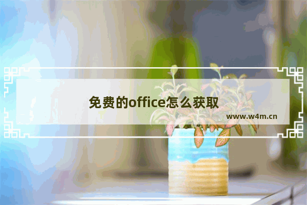 免费的office怎么获取