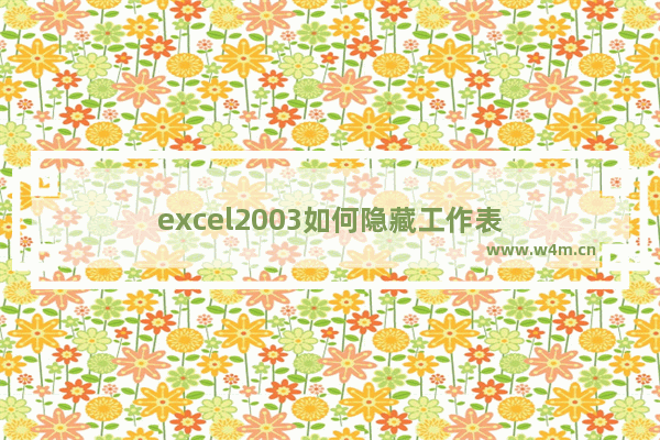 excel2003如何隐藏工作表