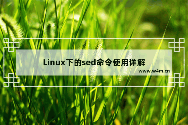 Linux下的sed命令使用详解