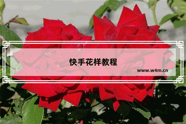 快手花样教程