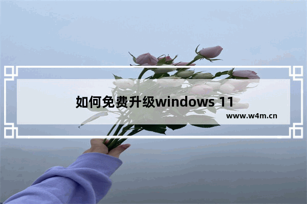 如何免费升级windows 11