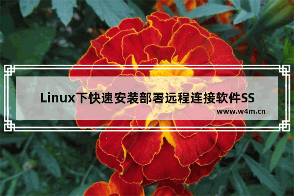 Linux下快速安装部署远程连接软件SSH的简明教程