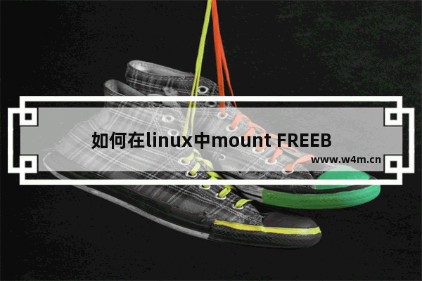 如何在linux中mount FREEBSD分区