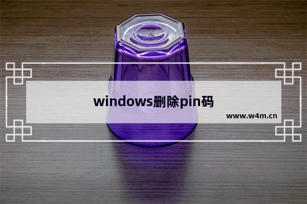 windows删除pin码