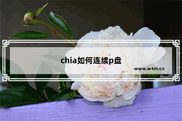 chia如何连续p盘