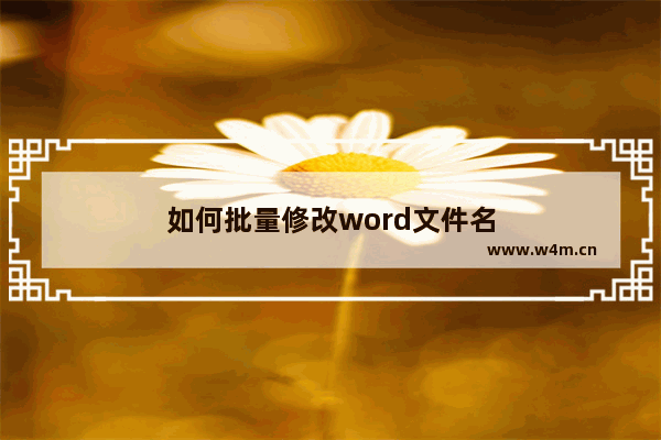 如何批量修改word文件名