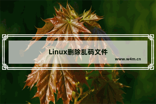 Linux删除乱码文件