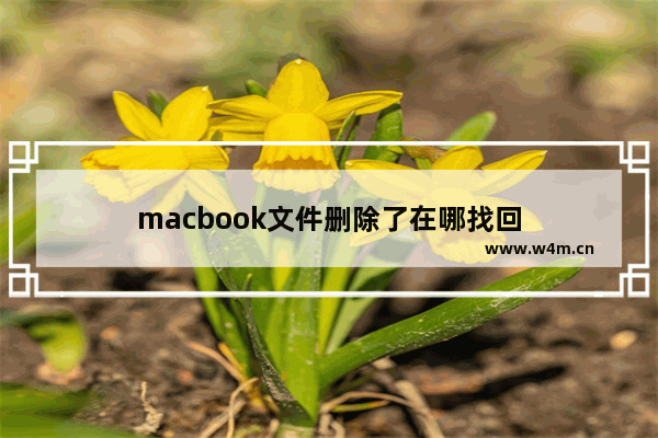 macbook文件删除了在哪找回