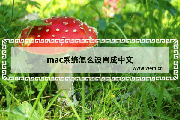 mac系统怎么设置成中文