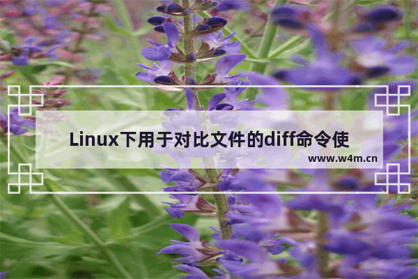 Linux下用于对比文件的diff命令使用教程