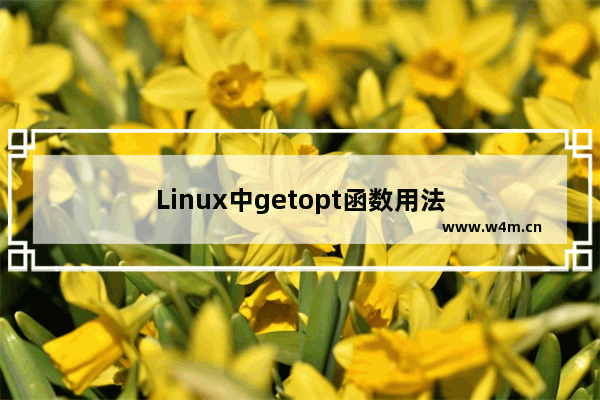 Linux中getopt函数用法