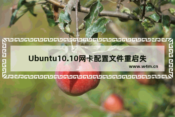 Ubuntu10.10网卡配置文件重启失效