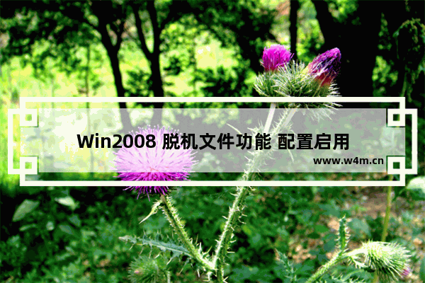 Win2008 脱机文件功能 配置启用