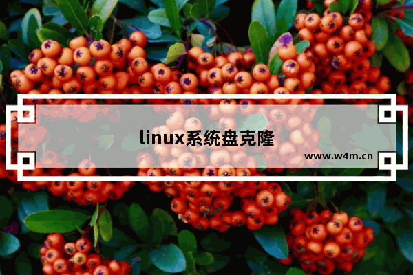 linux系统盘克隆