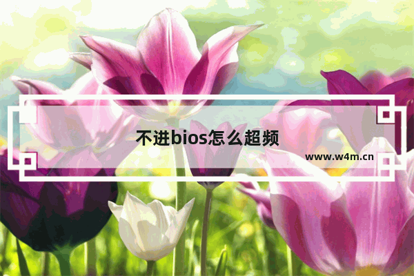 不进bios怎么超频