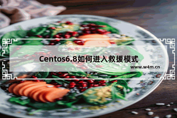 Centos6.8如何进入救援模式