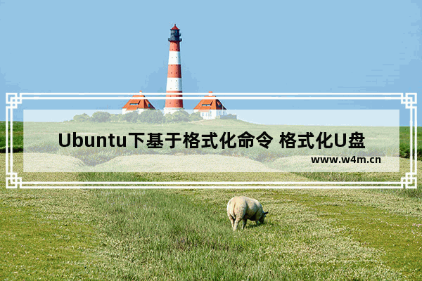 Ubuntu下基于格式化命令 格式化U盘的方法