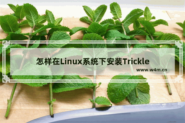 怎样在Linux系统下安装Trickle软件