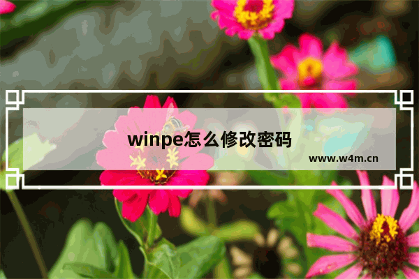 winpe怎么修改密码