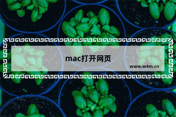 mac打开网页