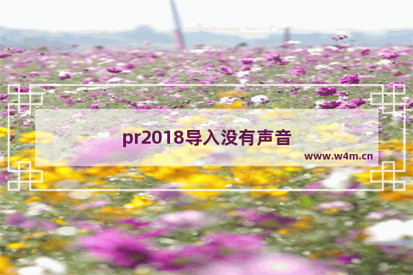 pr2018导入没有声音