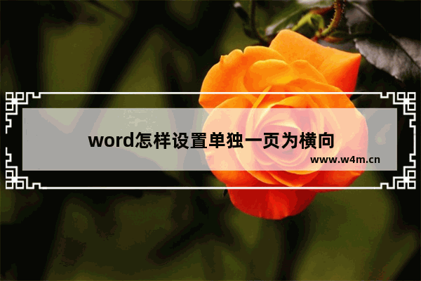 word怎样设置单独一页为横向