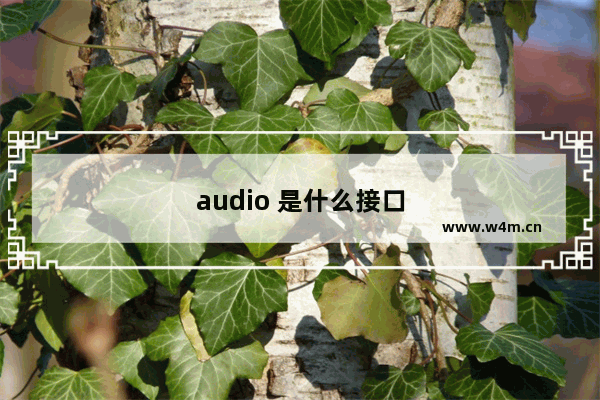 audio 是什么接口