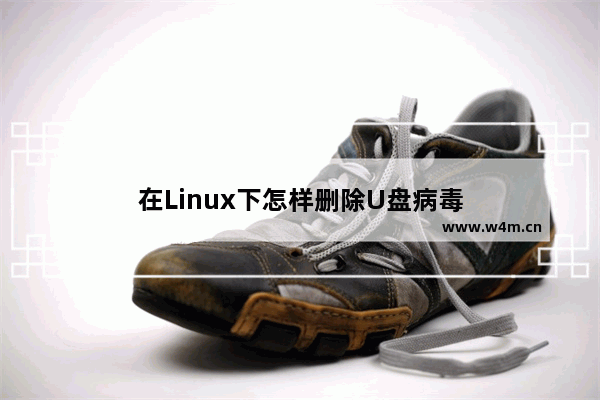 在Linux下怎样删除U盘病毒