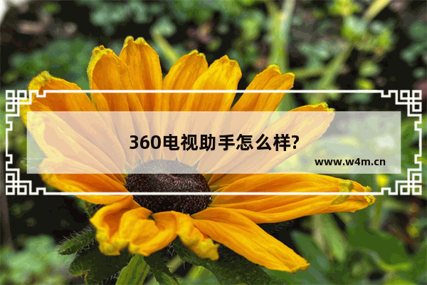 360电视助手怎么样?