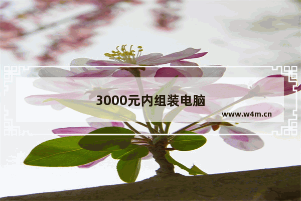 3000元内组装电脑