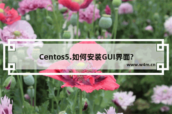 Centos5.如何安装GUI界面?