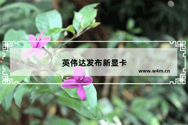 英伟达发布新显卡