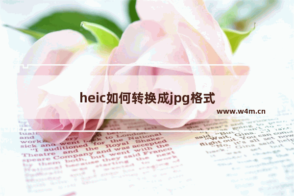 heic如何转换成jpg格式