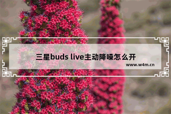 三星buds live主动降噪怎么开