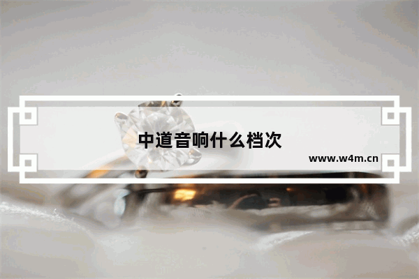 中道音响什么档次