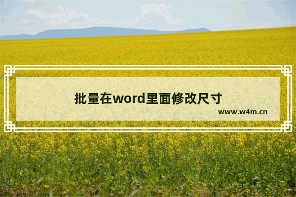 批量在word里面修改尺寸