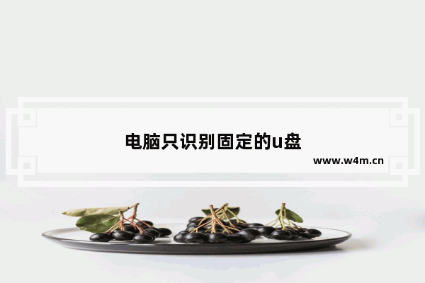 电脑只识别固定的u盘