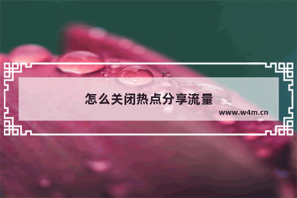 怎么关闭热点分享流量