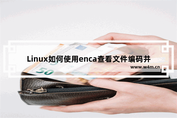 Linux如何使用enca查看文件编码并转换