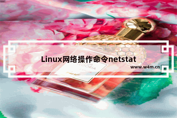 Linux网络操作命令netstat