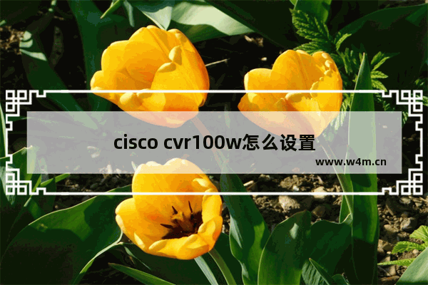 cisco cvr100w怎么设置