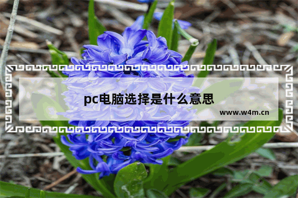 pc电脑选择是什么意思