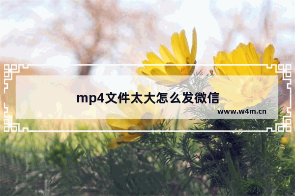 mp4文件太大怎么发微信