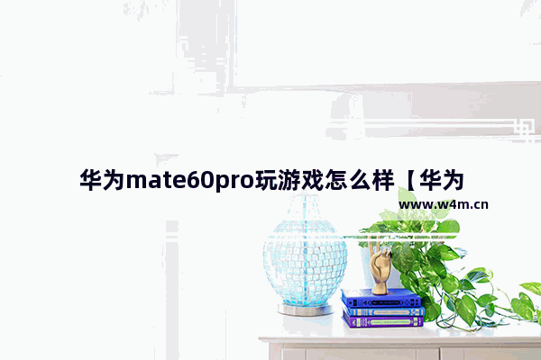 华为mate60pro玩游戏怎么样【华为m6 玩游戏】