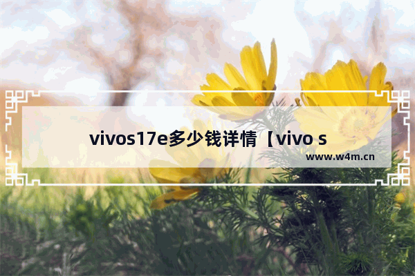 vivos17e多少钱详情【vivo s17多少钱一部】