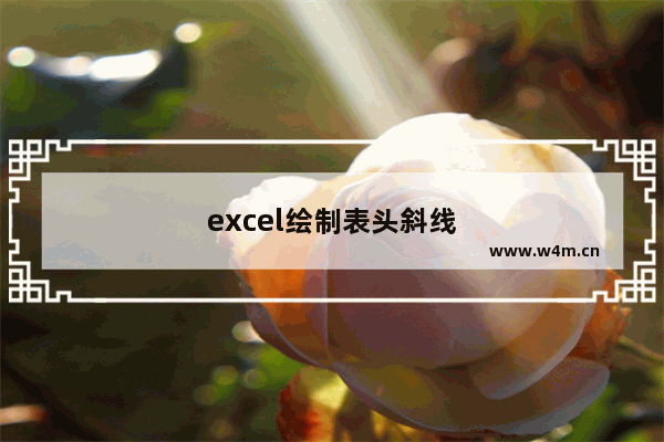 excel绘制表头斜线