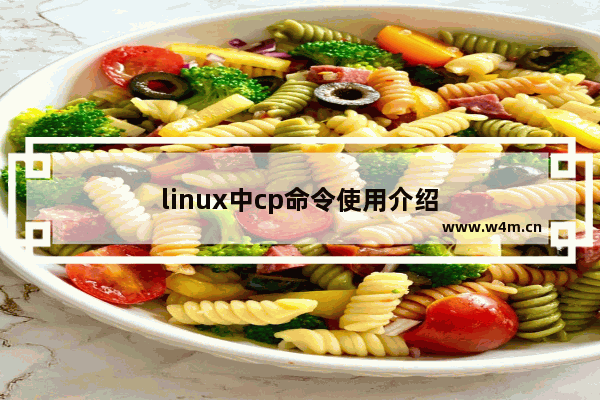 linux中cp命令使用介绍